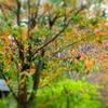 '18・9月の索引
