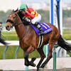 競馬初心者必見☆馬券予想🔥〜大阪杯〜重賞連勝の勢いそのままに！