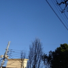 雲ひとつない青空、定番の日曜日を