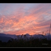 安曇野　美景　【常念岳　夕焼け】　　