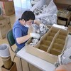 パッキン（緩衝材）を作る、ブルーベリーの選別や袋詰め / 明日はオープンファームです
