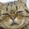 今後のご活躍をお祈りしました(^_^)ゞ