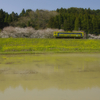 晴れ／普通／再会