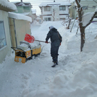 雪を溶かす いちご畑