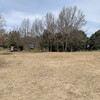 大入に馬、来るかもよ!!