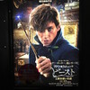 映画『ファンタスティック・ビーストと魔法使いの旅／Fantastic Beasts and Where to Find Them』★★★★★　