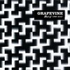 GRAPEVINE 【光について】