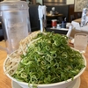 ５月１０日（金）