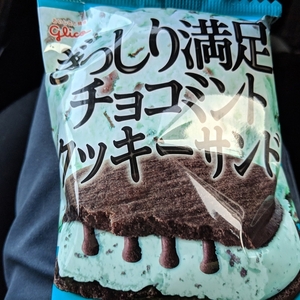 今日もチョコミントを食う