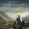 Google books pdf download Brigantia 9781784978198 by Adrian Goldsworthy