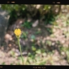 Photo No.1995 / 何事もなく今日が過ぎた