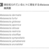 【よくある皮ふ疾患】治りにくい背中ニキビについて～マラセチア毛包炎～