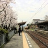 桜の開花今度は琴電岡本駅で