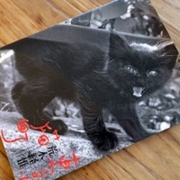 カメラ情報