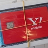 結局Y!mobileにしました