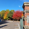 札幌は紅葉真っ盛りでした