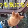 で、迷ってる、だよ