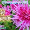 野党4党が「市民連合」と政策合意