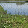 田と田の間