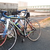 江戸川サイクリングロードでロング走（チーム練）