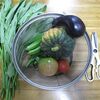 【隠居の家庭菜園　今日の収穫　8/06】
