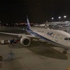 ANA B787 深夜便香港線 エコノミークラス 搭乗記