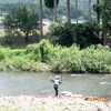 河川状況、釣果等