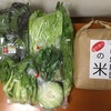 自然栽培の野菜を買いました　2回目です