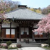 【私の創作ノート】小説のための文章デッサン｜小学校の時、缶蹴りという遊びをお寺の境内と墓場でやった思い出