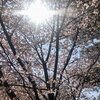 押し入れスッキリで気分爽快