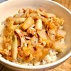 日本一ふつうで美味しい「植野食堂」のかき揚げ丼