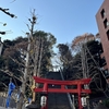 2025年1月の振り返り