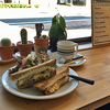 （まちなかランチ）THE SANDWICH CLUB