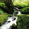 夏の終わりの幻？蛇と仙人に遭遇【富山：大岩山 日石寺と千巌渓】