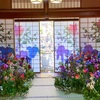 【花咲く京都お寺巡り】そうだ京都行こう❣️【期間限定】美しいお花に彩られた『花の間』を巡ろう💚