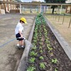 12月14日(水)　学校の様子