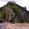 大姶良の新八幡宮（八幡神社）、島津元久の産土神