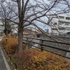 山崎川の源流を求めて　その3　石川橋～檀渓橋