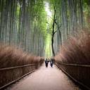 学びの轍レポート