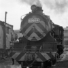 69664