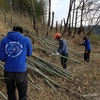 3月19日（日）の里山活動