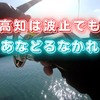 【フカセ釣り】高知の波止はパワフルファイター達が迎えてくれるぜぃ