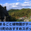 まちまるごと植物園がテーマ！佐川町のおすすめスポット