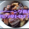 ながーーーーーーーーーい長茄子がトロっトロで最高です🍆