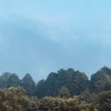 今朝の景色