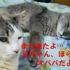 お久しぶり