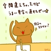 占ってみた20250607