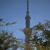 今日の1枚 緑と青にスカイツリーは映える