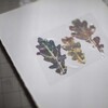 冬の木の葉