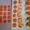 炬燵でみかんを食べながら、耳に小さなみかんを着けていたら素敵じゃないかしらと思いまして。